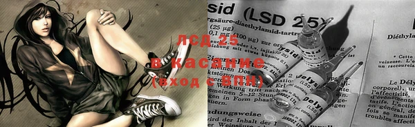 ПСИЛОЦИБИНОВЫЕ ГРИБЫ Ладушкин