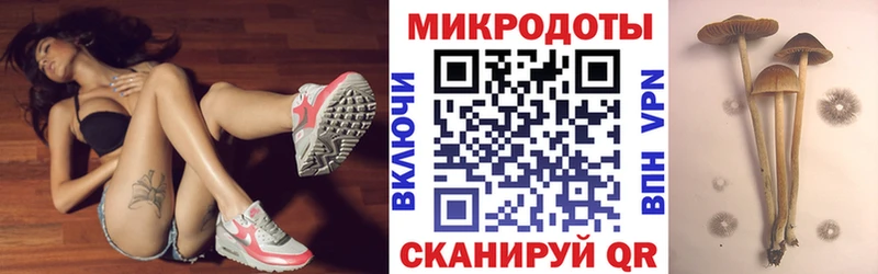 Купить где  Абинск  Псилоцибиновые грибы GOLDEN TEACHER 